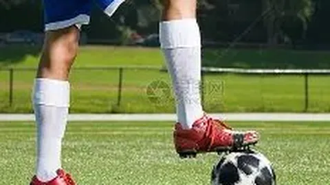 金鹰盛典致敬往届女神，李小璐缺席引关注