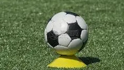 意大利国家联赛10月阵容公布